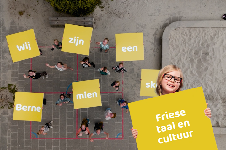 Friese taal en cultuur
